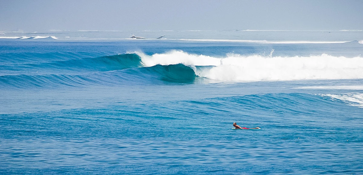 Fun waves and enjoy Maldive Surfing with Elysia Surf Charters Maldives Fun Waves at Maldives Surf Locations