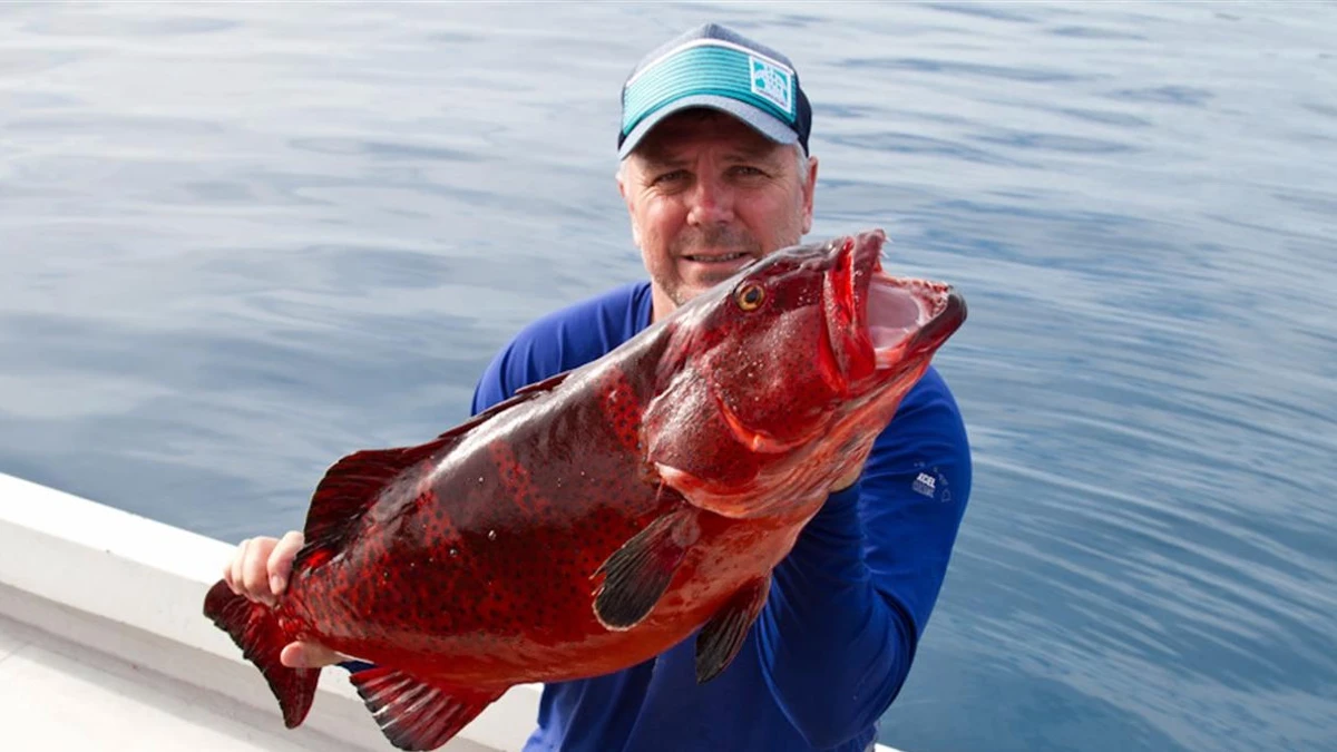 Kerrys Fish Elysia Maldives Fishing Charters
