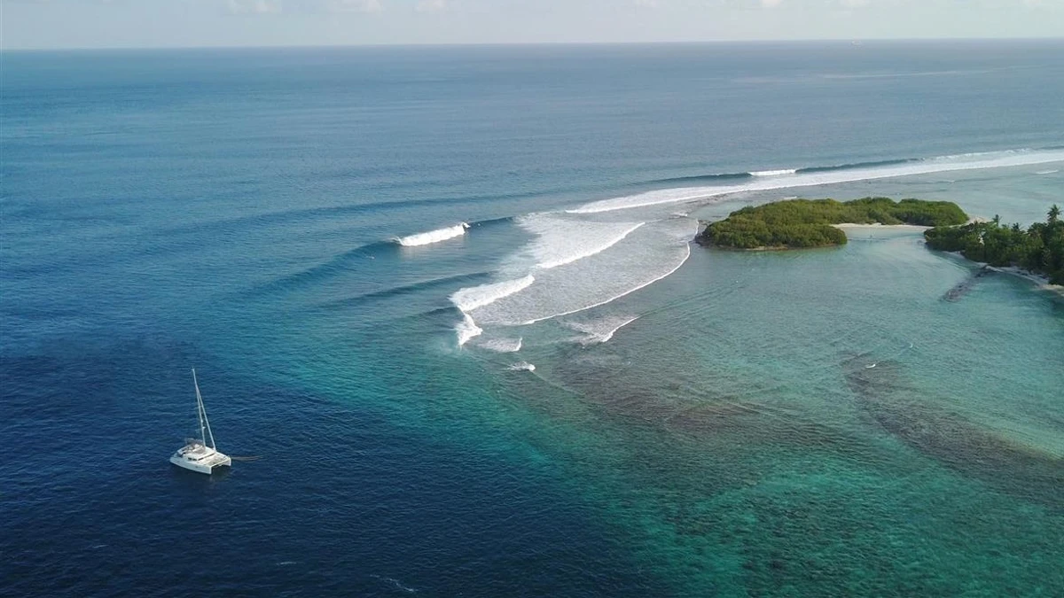 Maldives Surf - the Cokes lineup