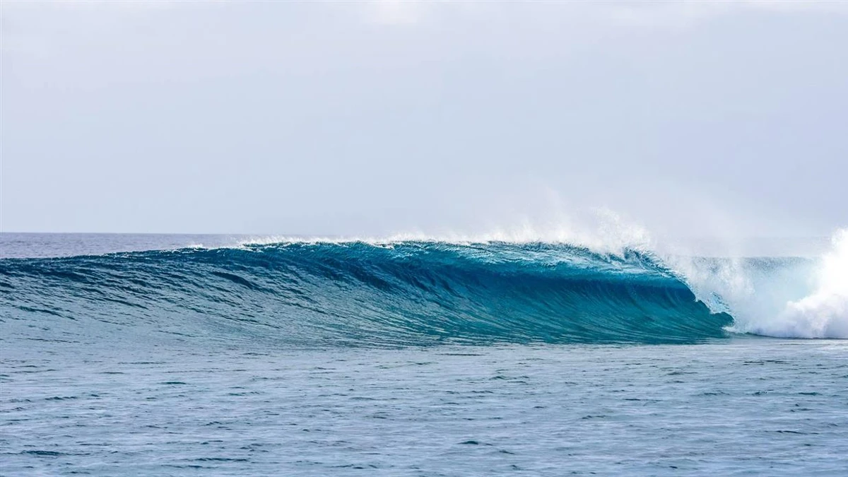 Machines Maldives – Surfing the Maldives | Elysia Surf Charters Machines Maldives Surfing The Maldives Charters